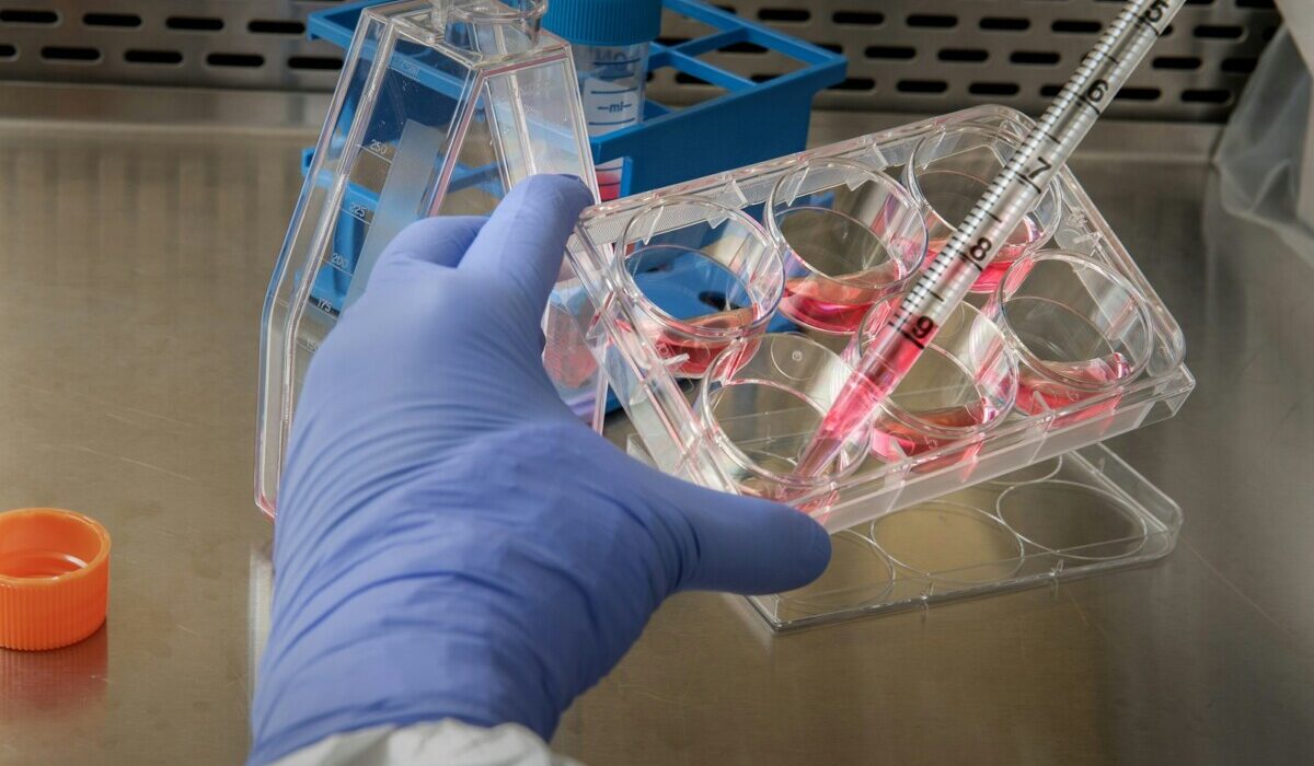 person holding syringe near container